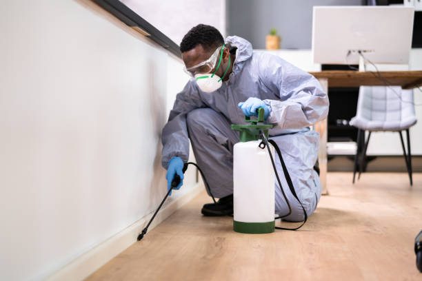 Best Residential Pest Control  in Clinton, MI